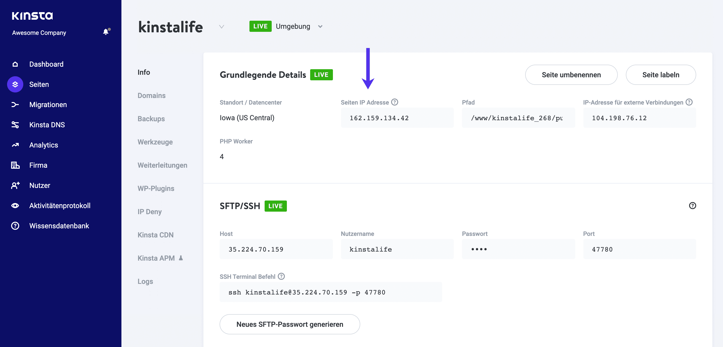 IP-Adresse der Webseite von Kinsta (Ein Datensatz)