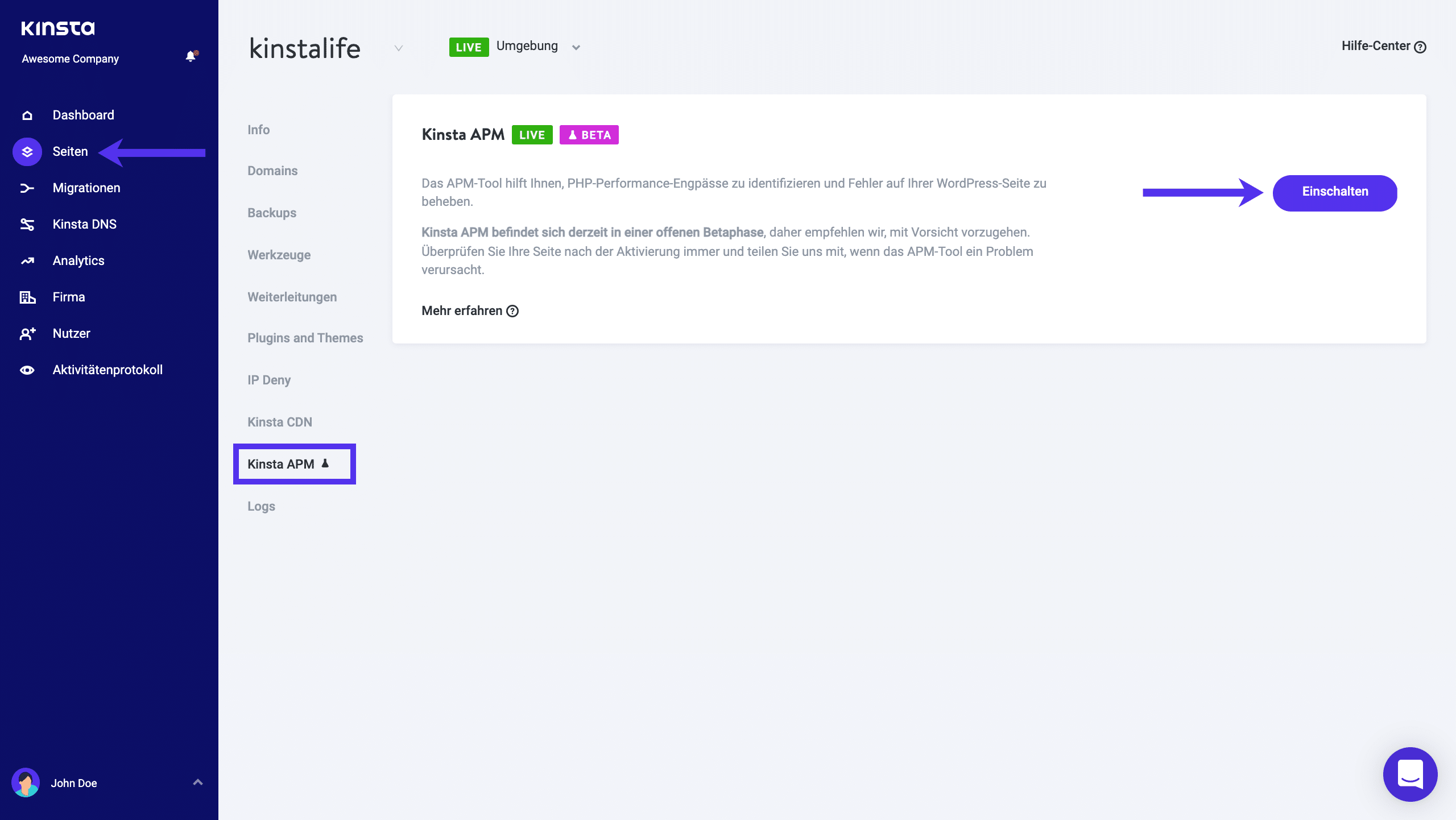 Kinsta’s APM Tool aktivieren