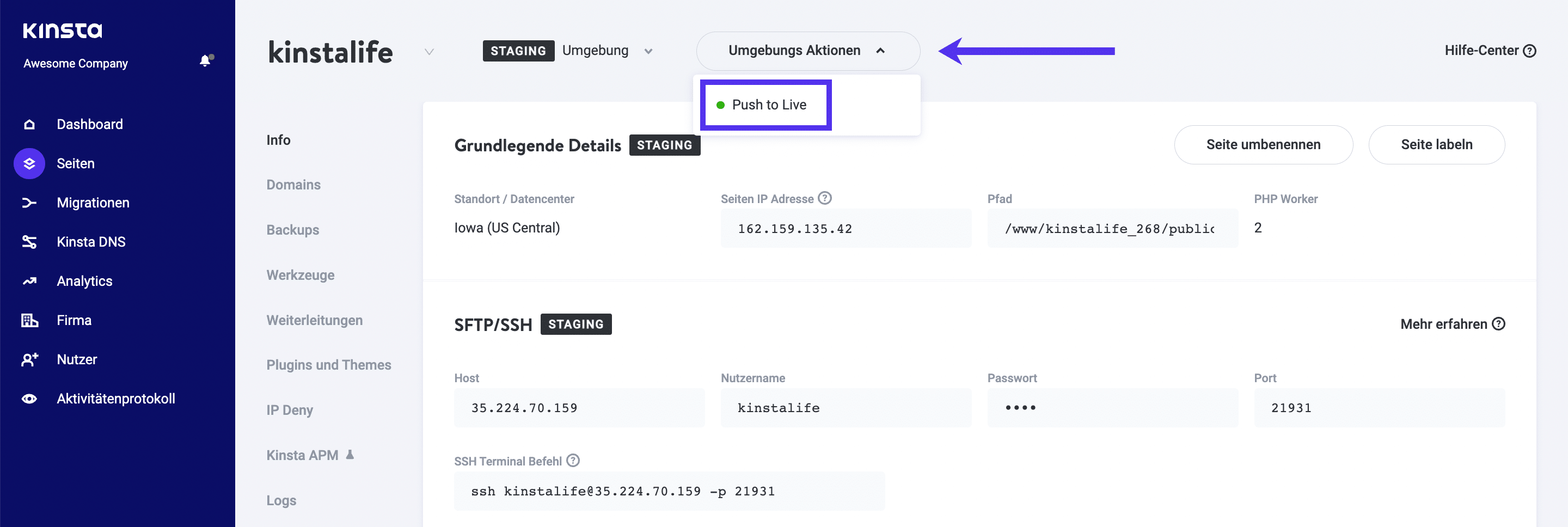 Schiebe Staging in MyKinsta mit Selective Push auf Live.