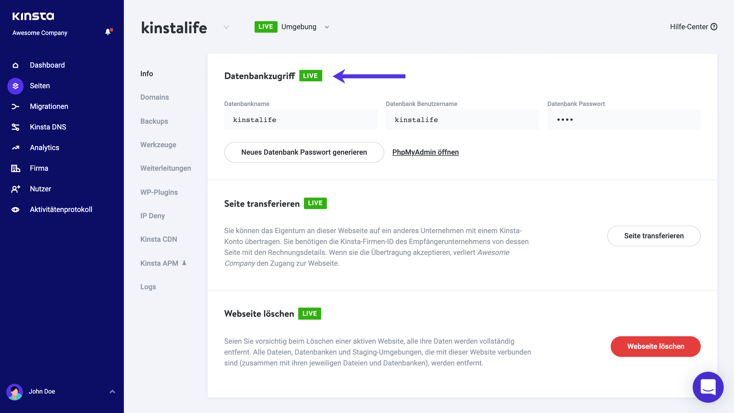 Datenbank-Zugangsdaten in MyKinsta.