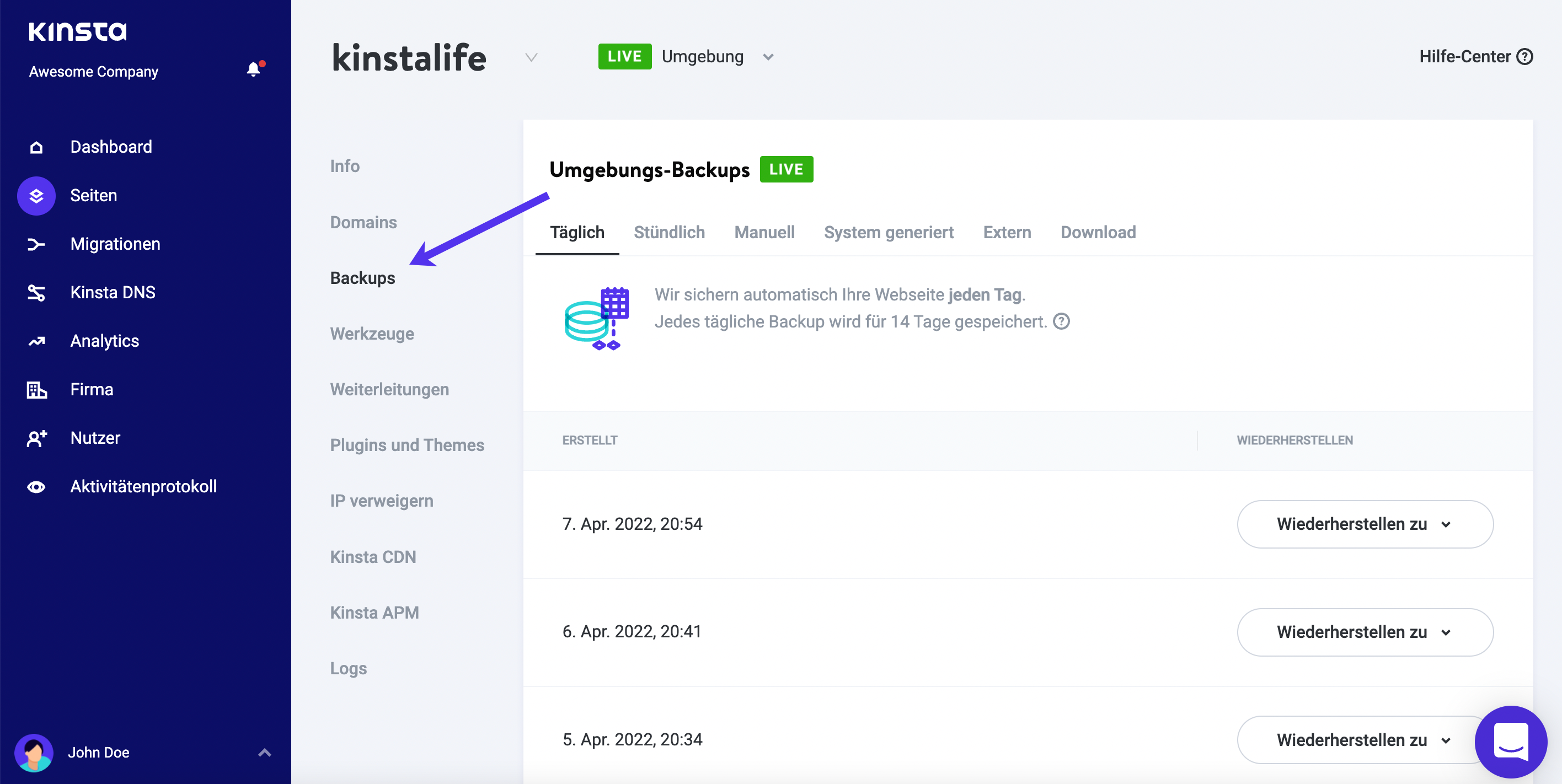 Sicherungsoptionen in MyKinsta.