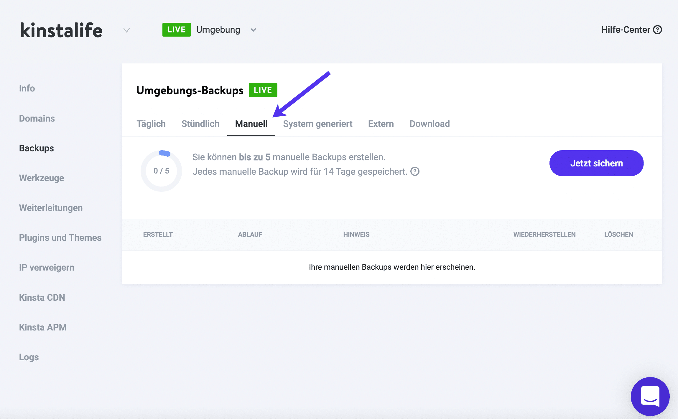 Manuelle Backups in Kinsta.