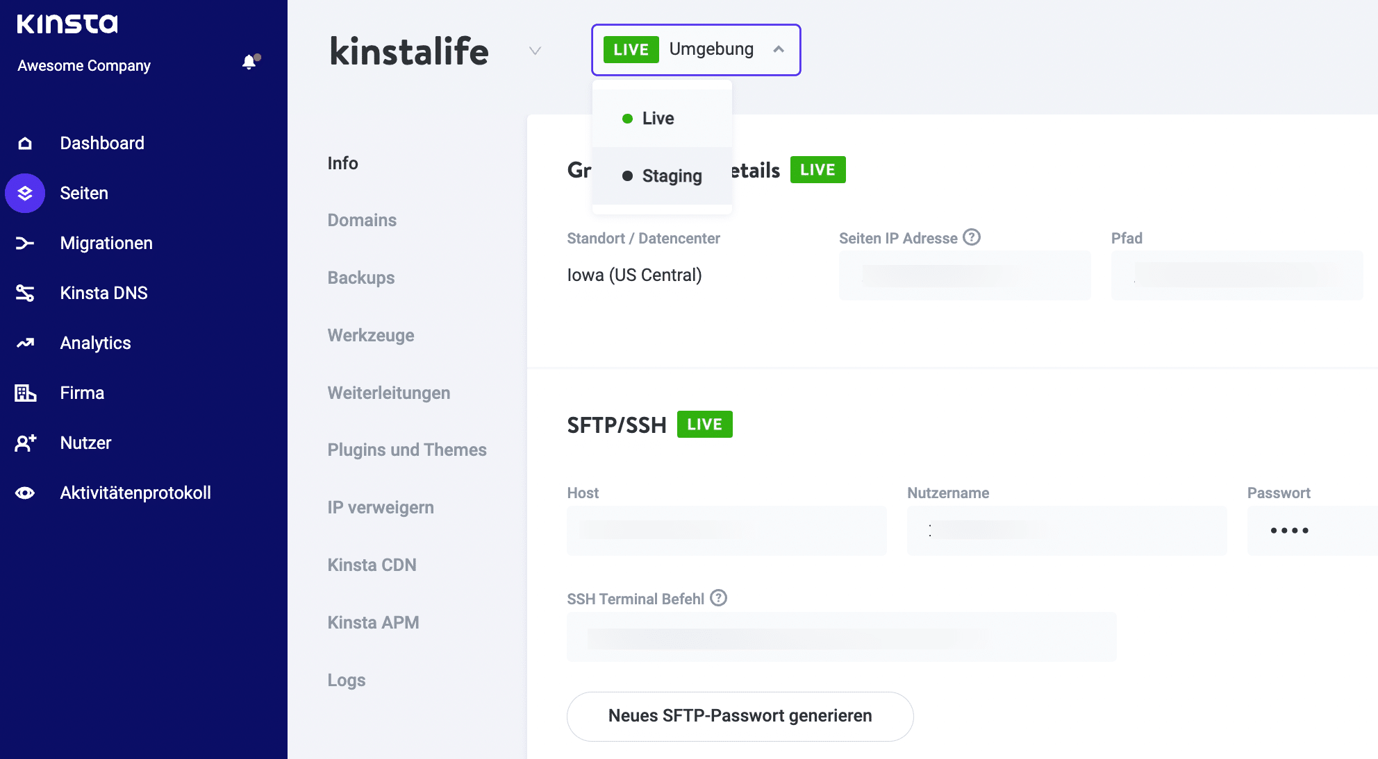 Kinstas Staging-Funktion mit einem Klick