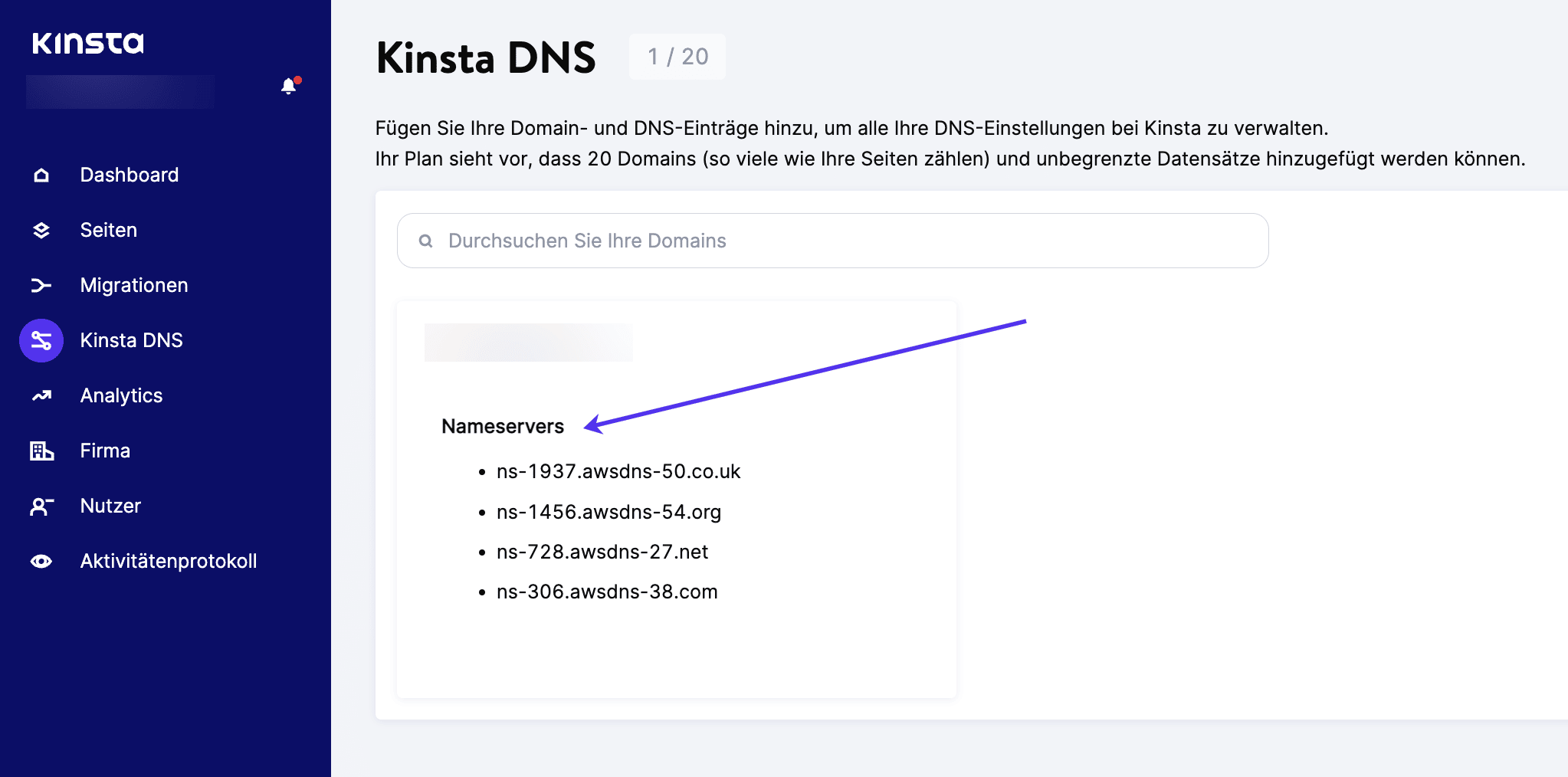 Wähle Kinsta DNS und klicke dann auf einen Domainnamen.