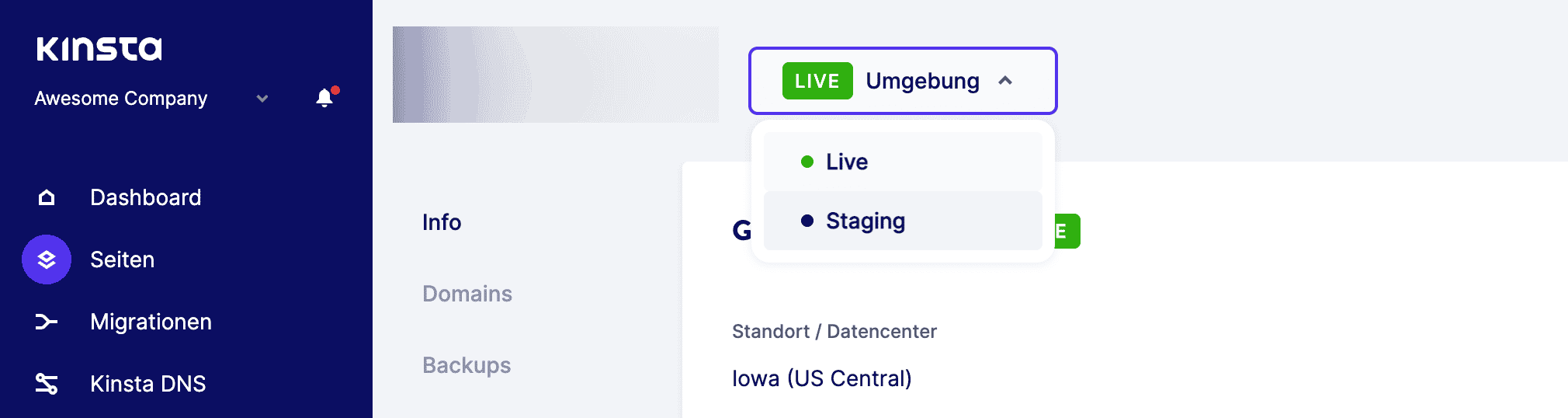 Die Staging-Umgebung in MyKinsta