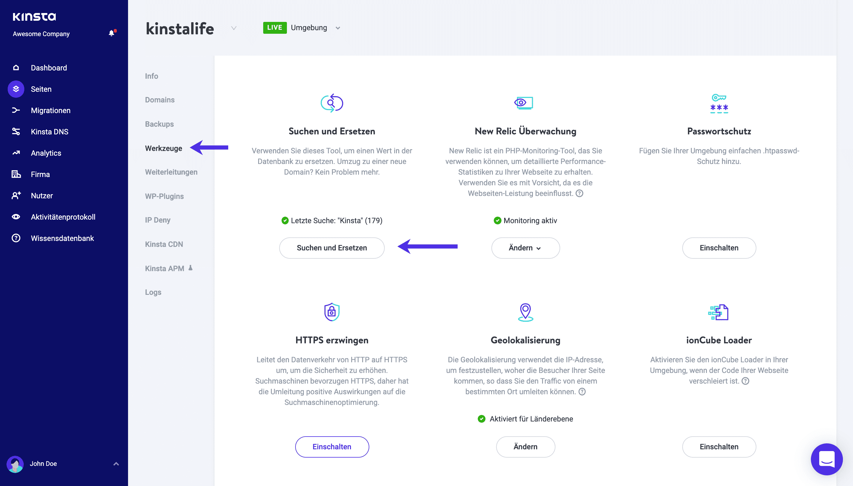 Kinsta-Tool zum Suchen und Ersetzen