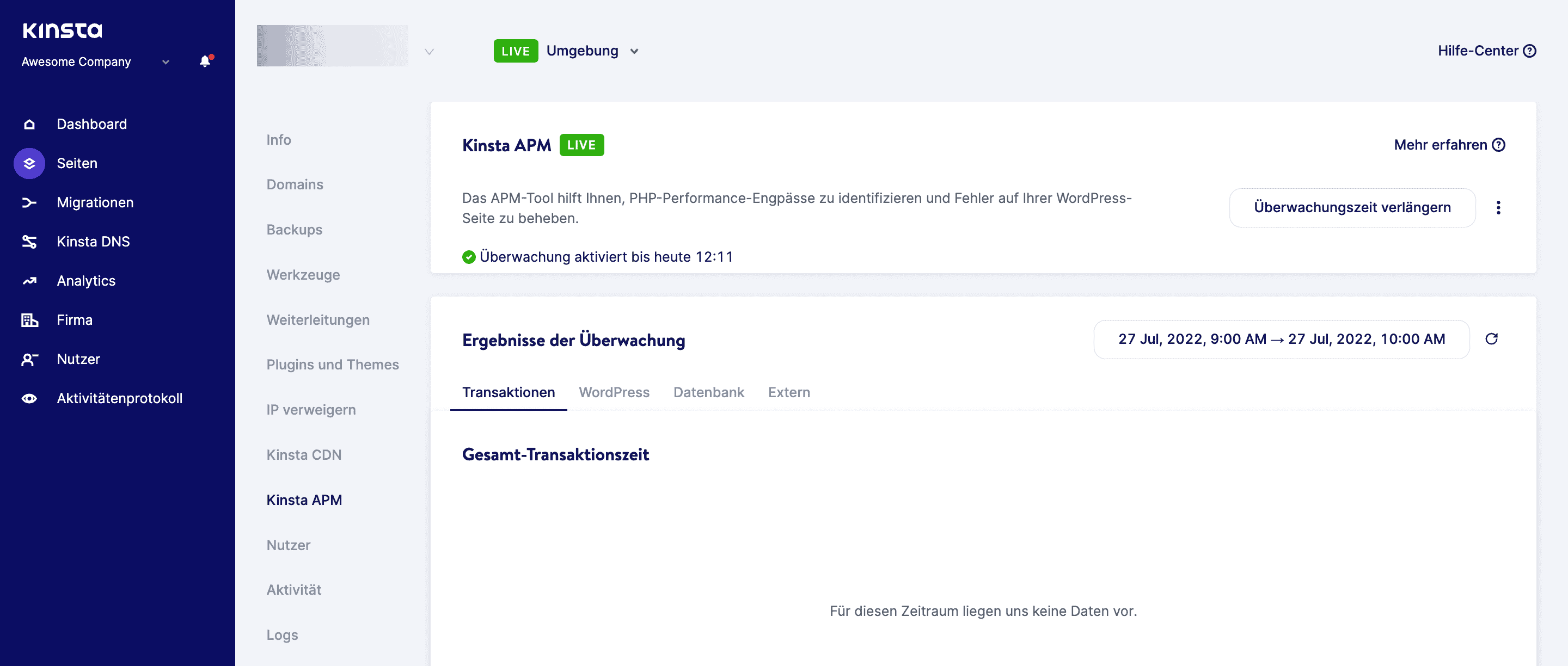 Das Kinsta APM-Tool