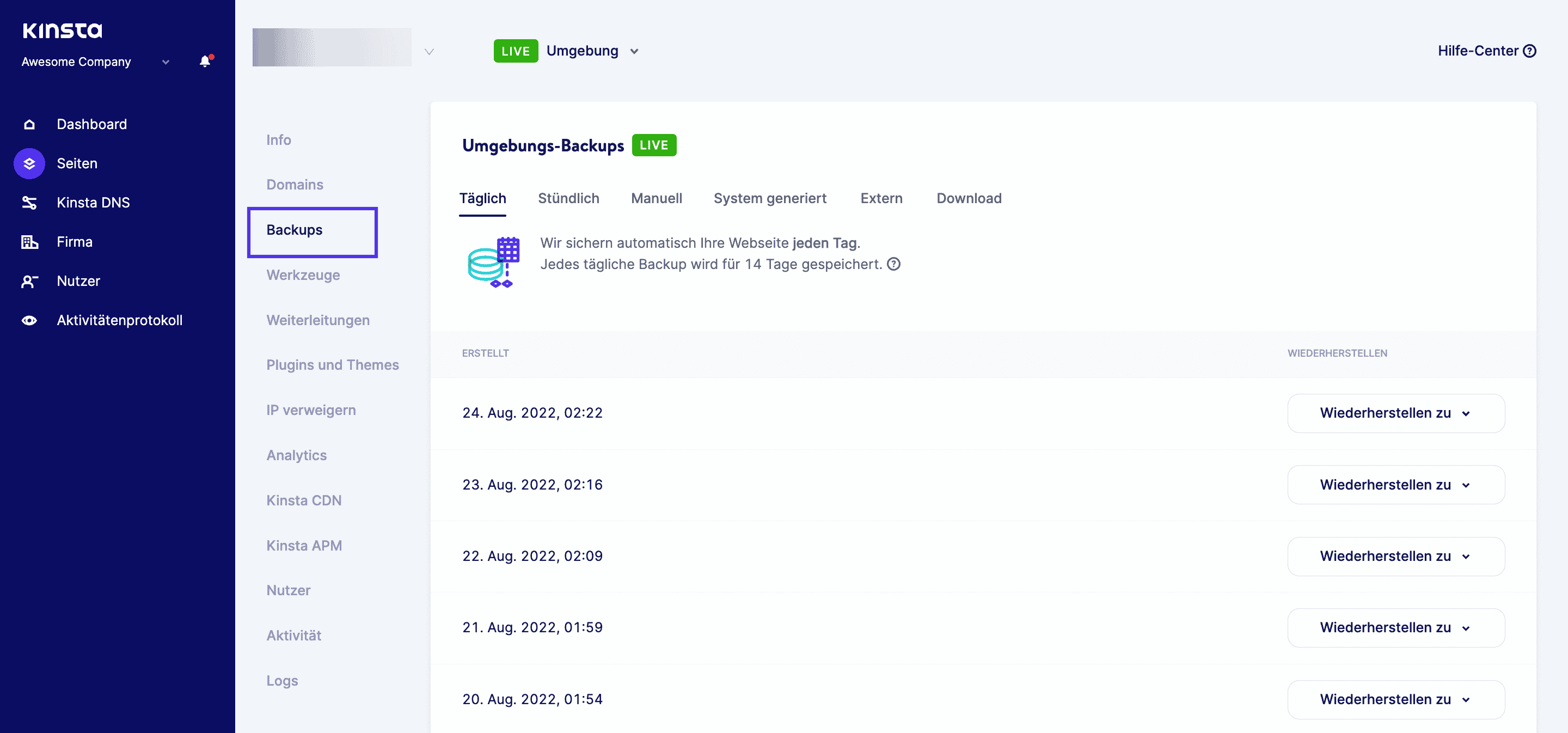 MyKinsta-Backups