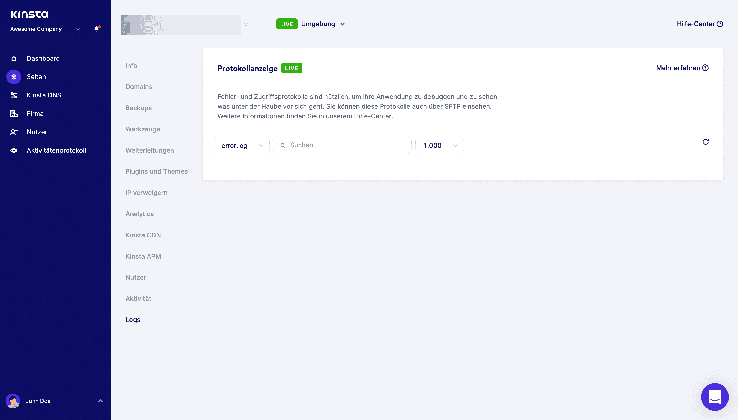 Der Log Viewer aus dem MyKinsta-Dashboard