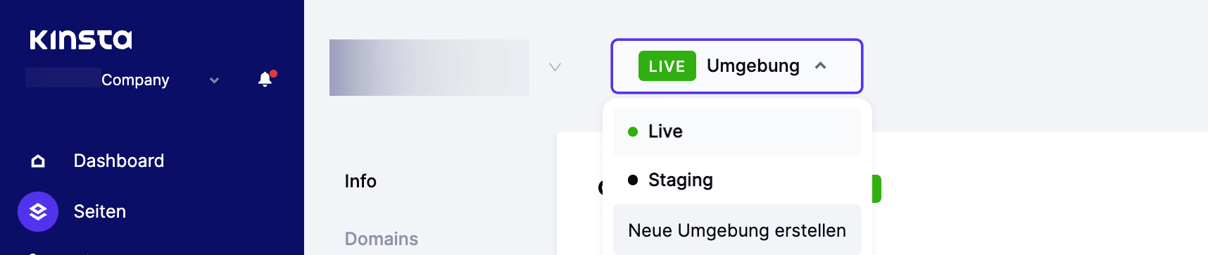 Erstellen einer Staging-Site in MyKinsta