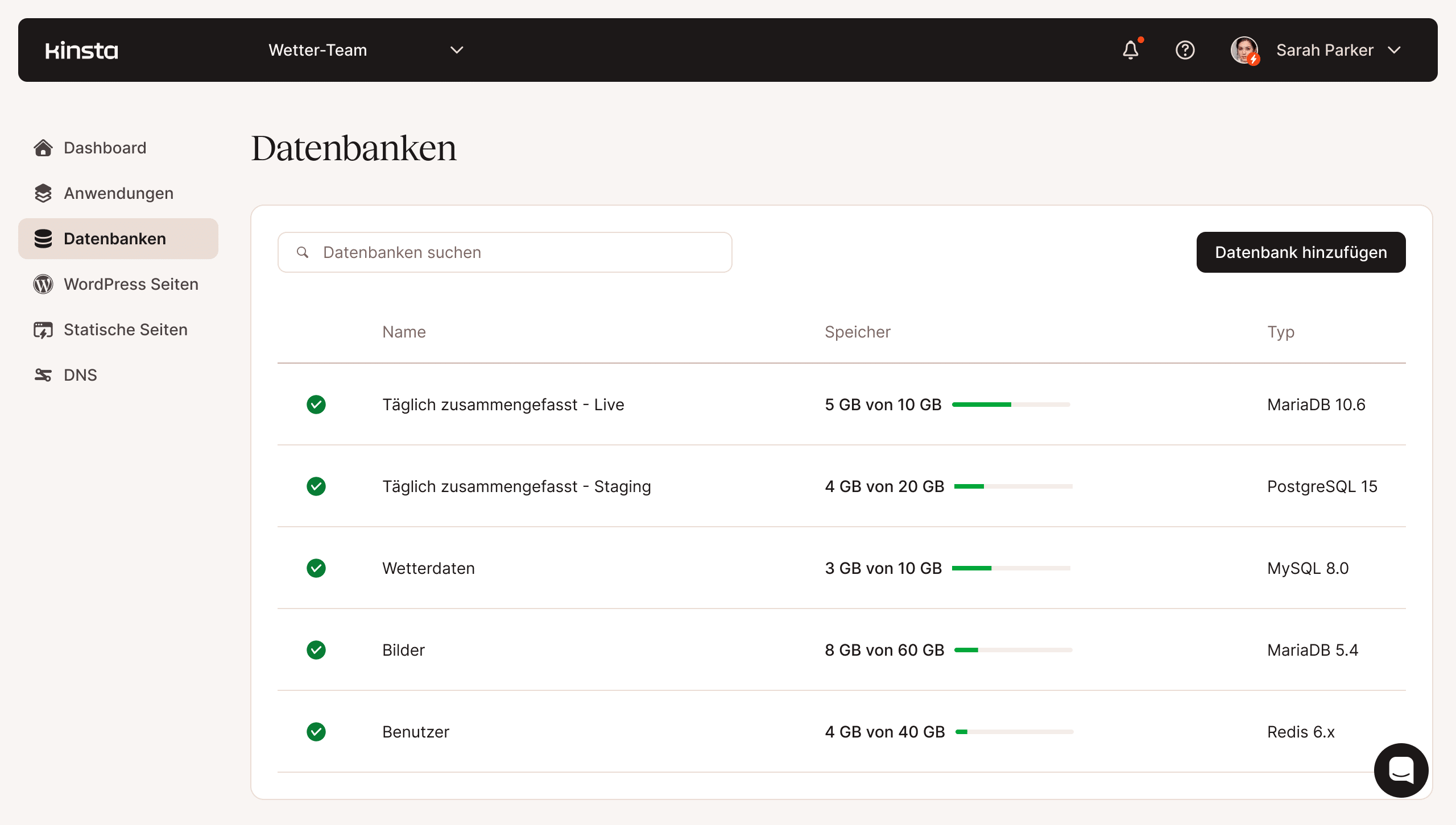Screenshot der MyKinsta-Datenbankverwaltungsfunktionen