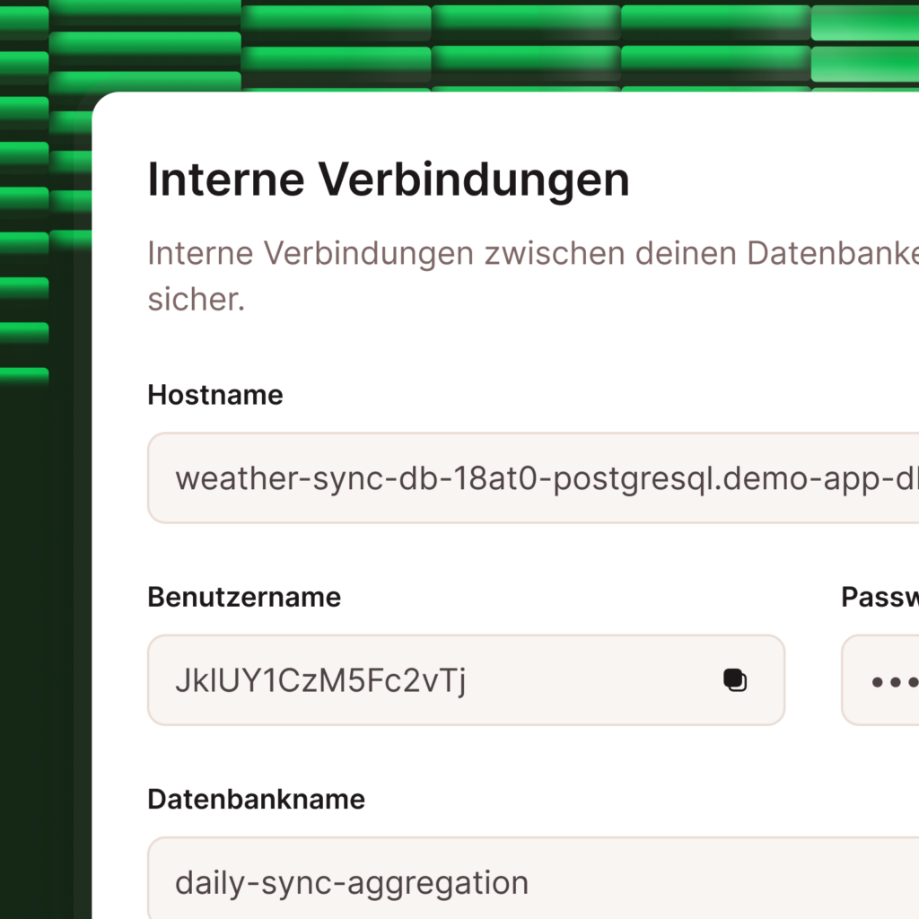 Screenshot mit den Optionen für interne Datenbankverbindungen