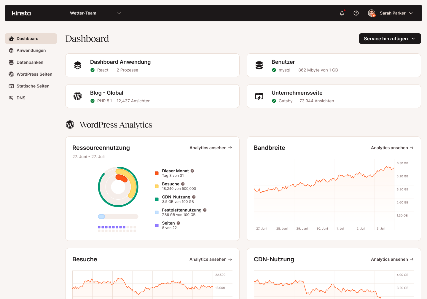 Screenshot des Haupt-Dashboards von MyKinsta