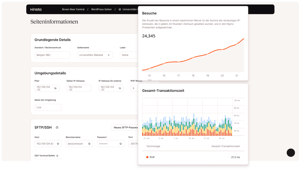 MyKinsta Dashboard