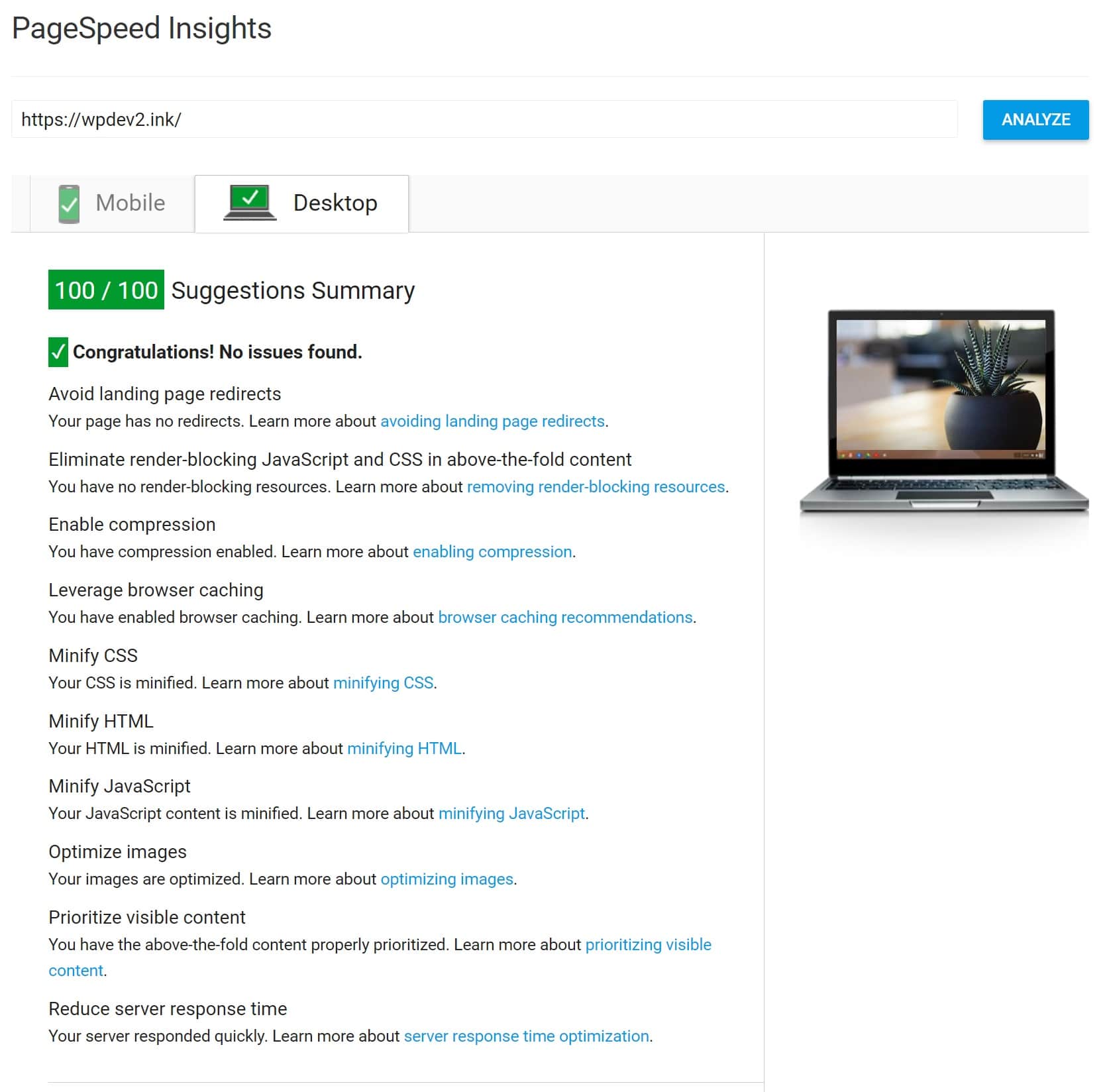 100/100 Google PageSpeed Insights score 100/100 Google PageSpeed Insights score