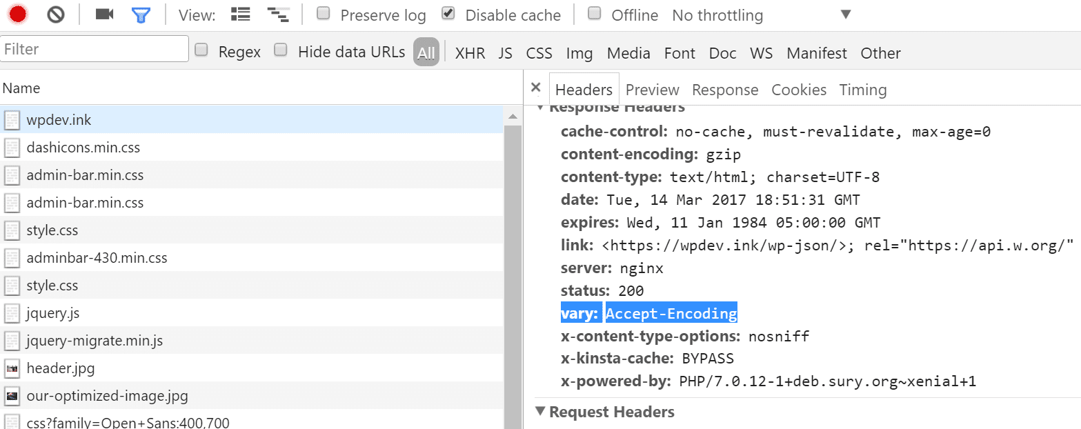 Vary: Accept-Encoding header på Kinsta servere