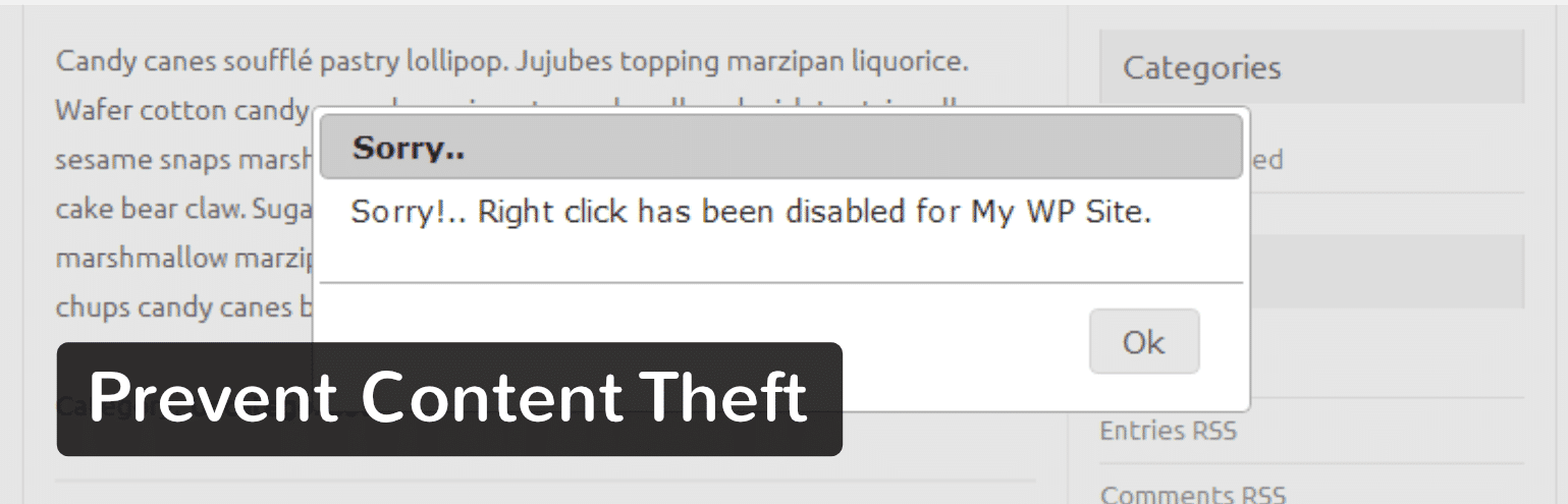 Prevent Content Theft WordPress-plugin