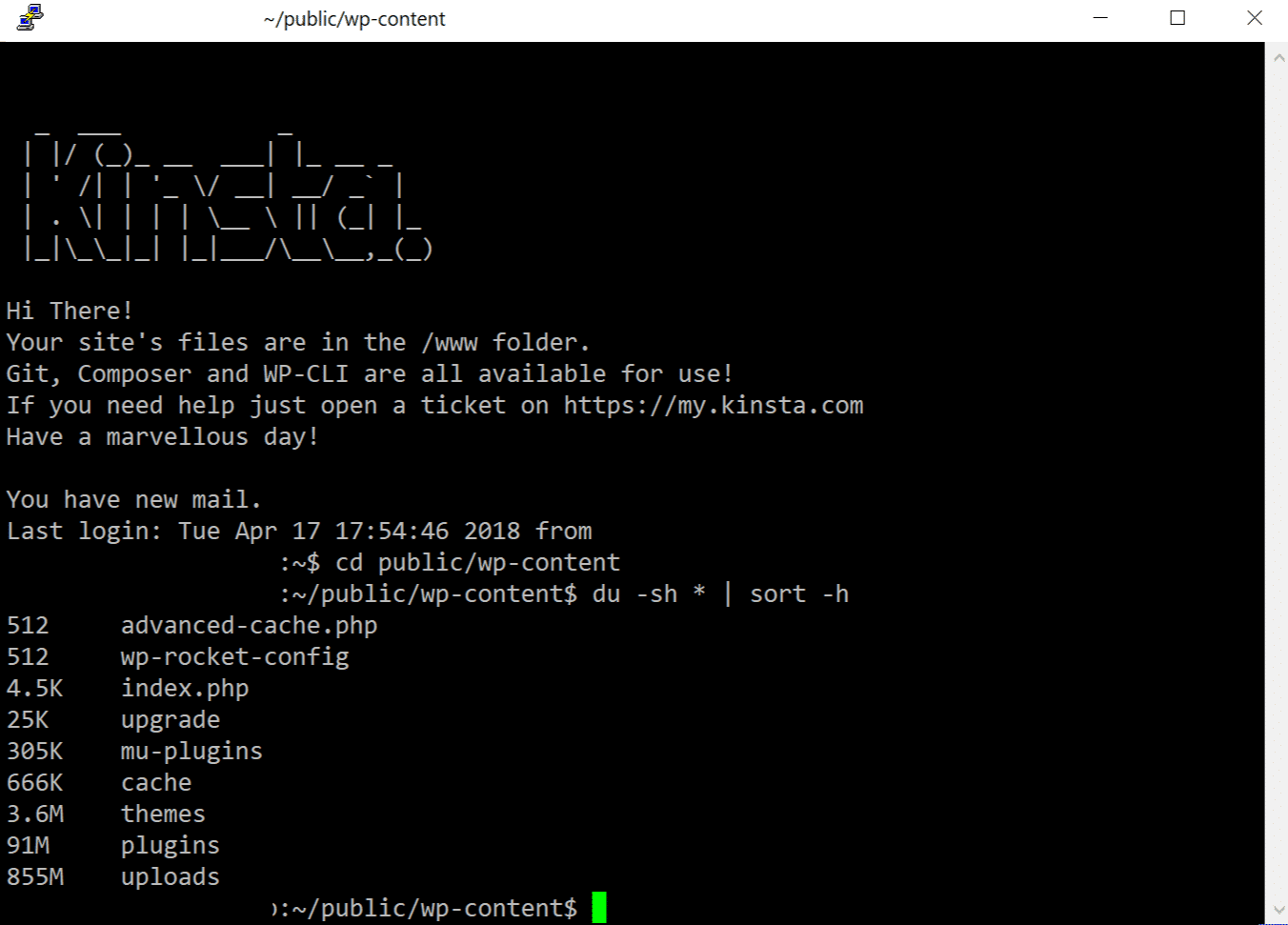 Kontroller diskbrug via SSH