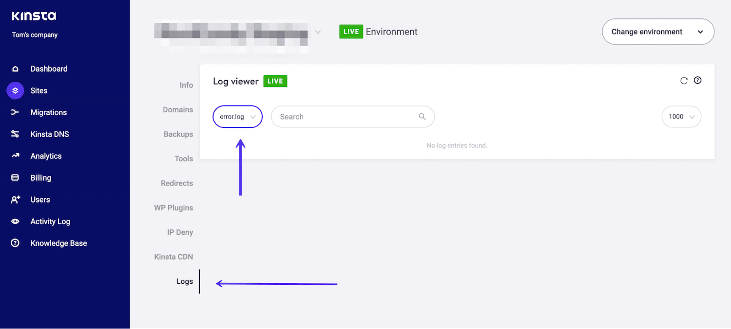 MyKinsta logs fane