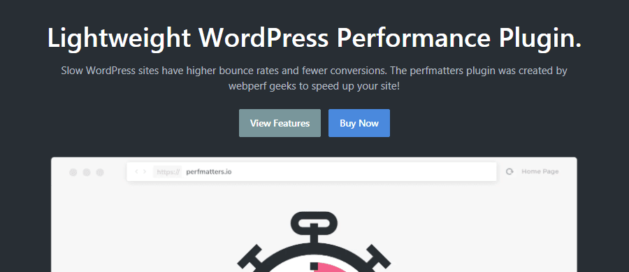 Perfmatters WordPress plugin