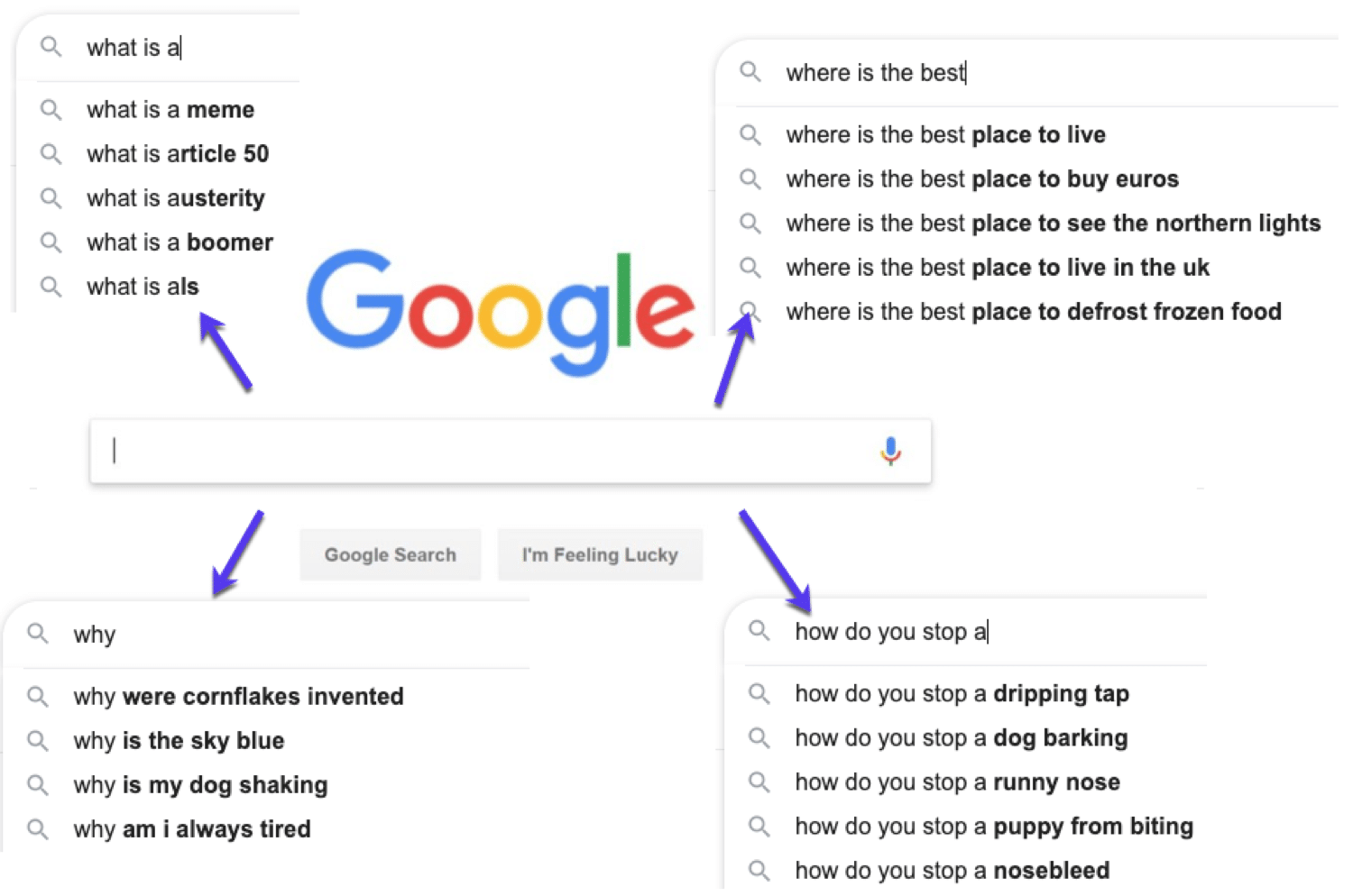 Eksempler på spørgsmål, som folk søger på Google