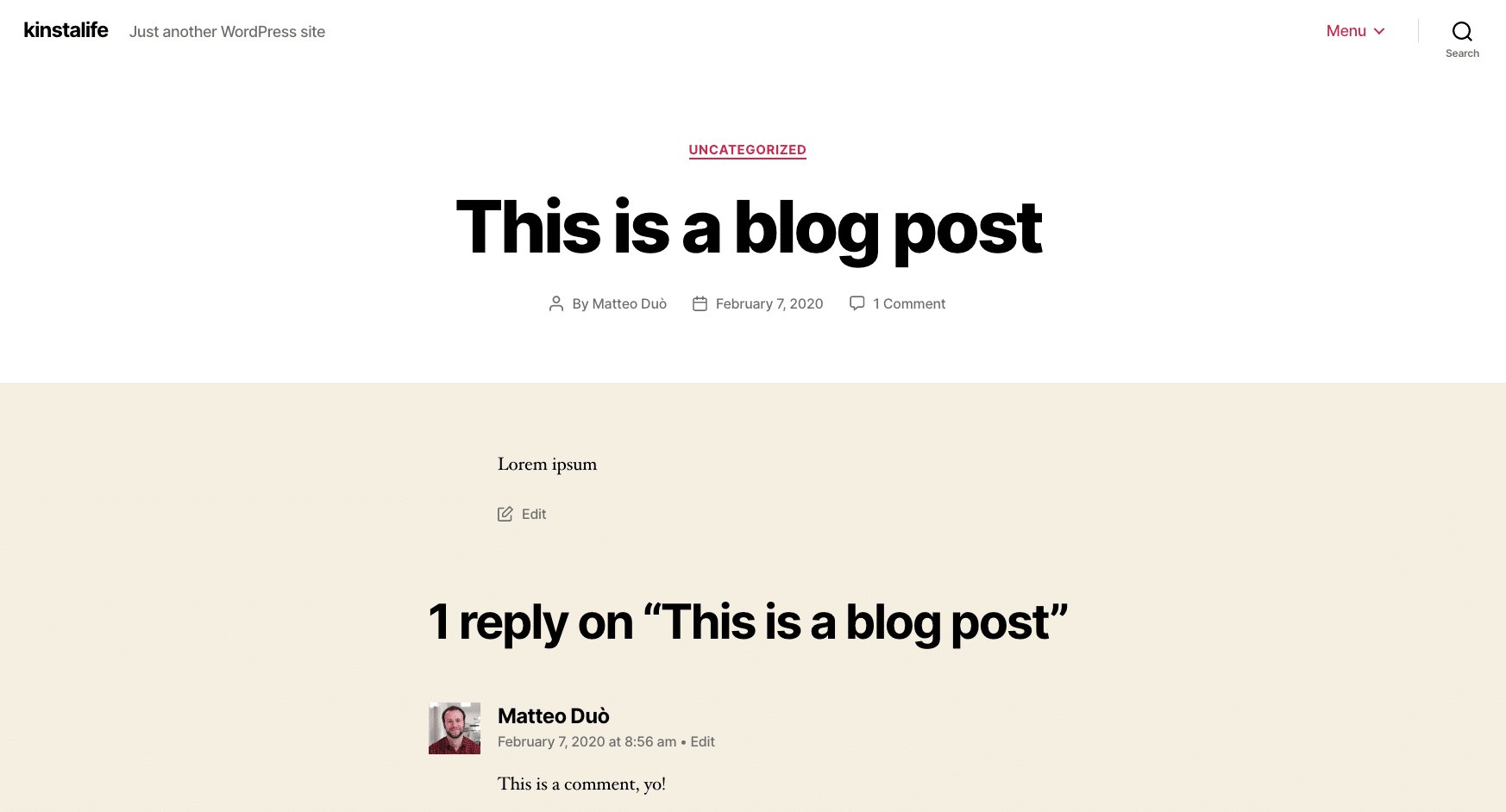 Eksempel på en kommentar på et WordPress site