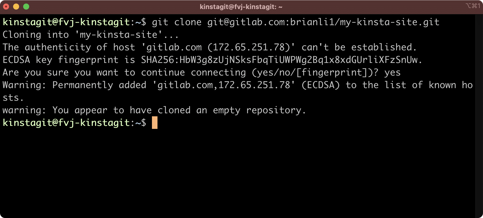 Klon dit GitLab-arkiv til dit Kinsta-levende miljø.