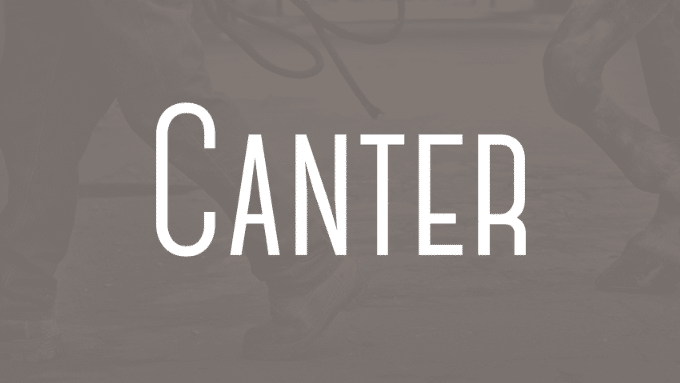 Canter