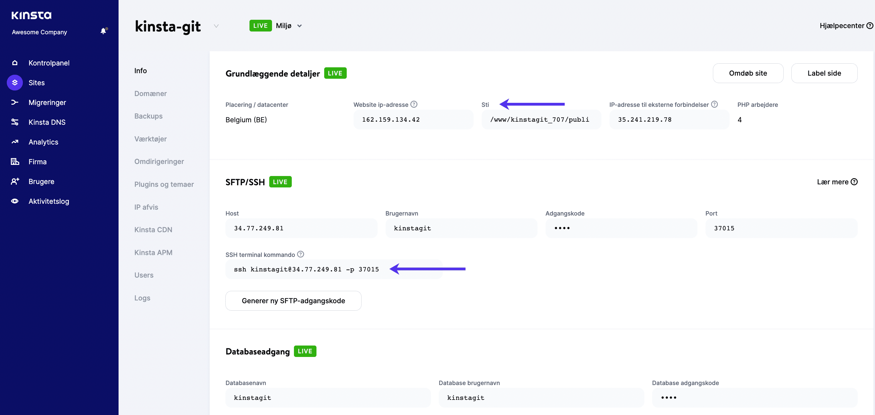 Offentlig sti og SSH-detaljer i MyKinsta.