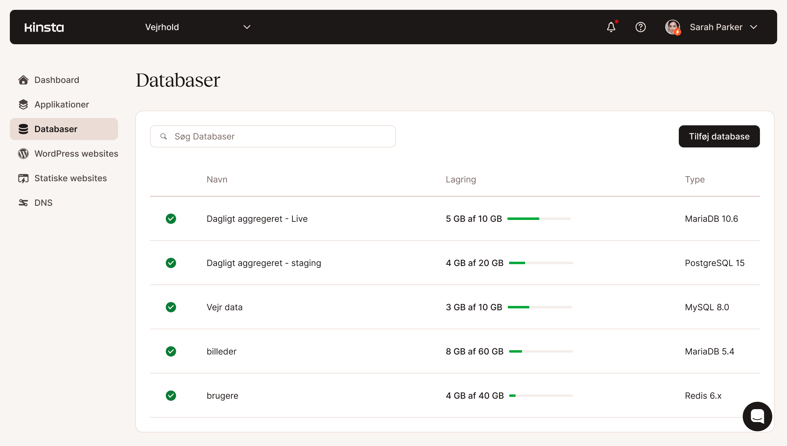 Screenshot af MyKinsta databasestyringsfunktionalitet
