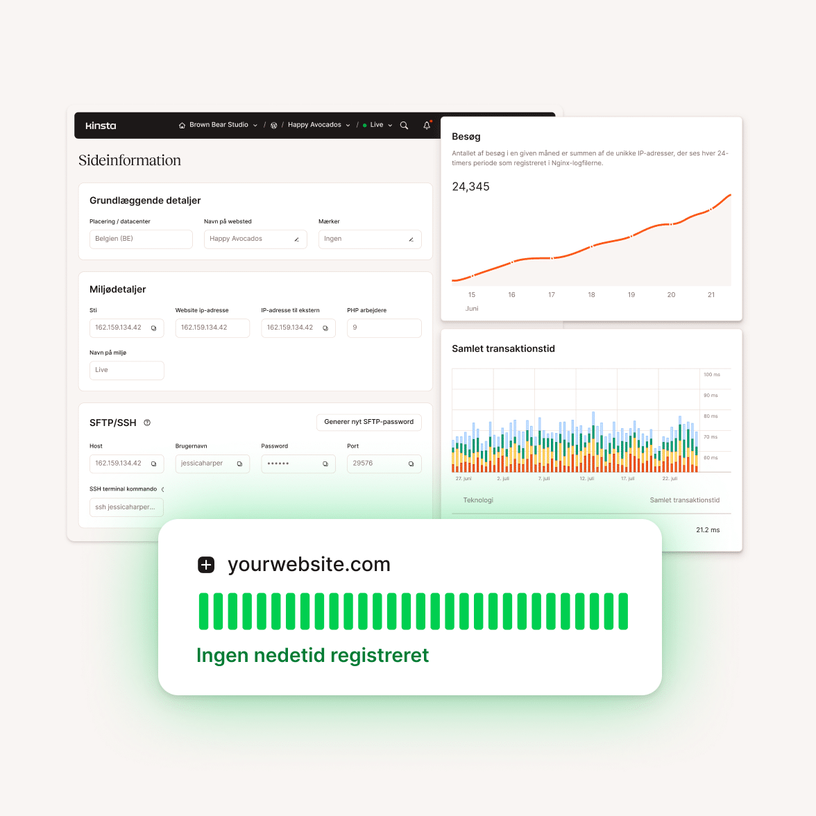 Kinsta hosting platform