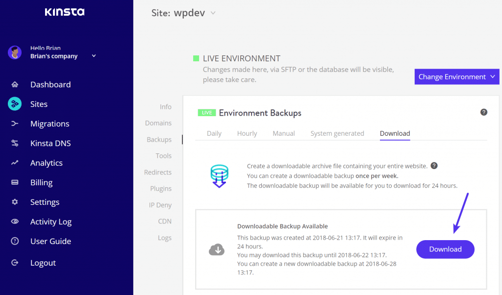 Descargar WordPress backups