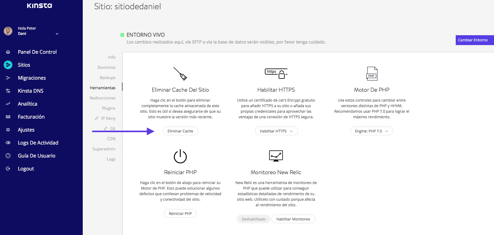 Borrar cache de WordPress