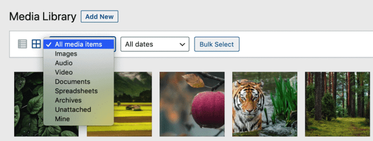 Filtrando los archivos de la Biblioteca Multimedia de WordPress