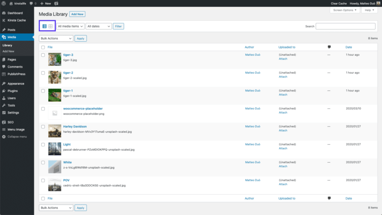 Opciones de vista de la Biblioteca Multimedia de WordPress