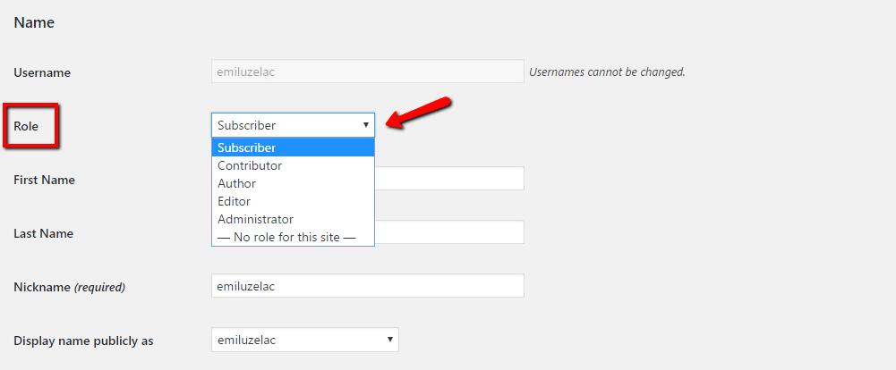 Cómo cambiar el rol en WordPress