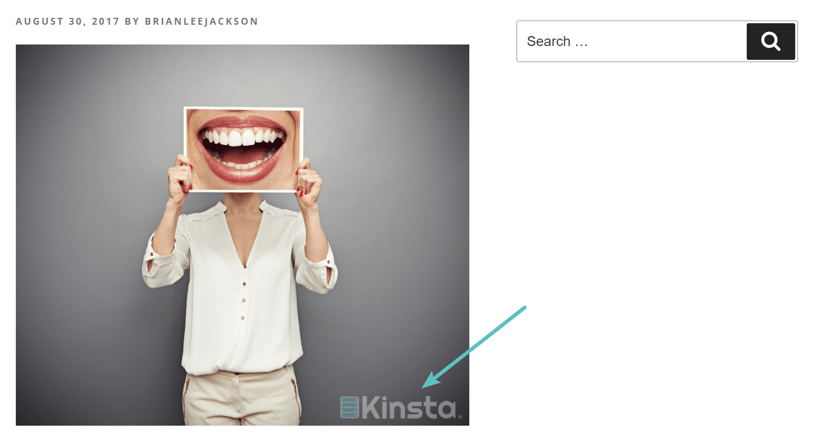 Marca de agua Kinsta