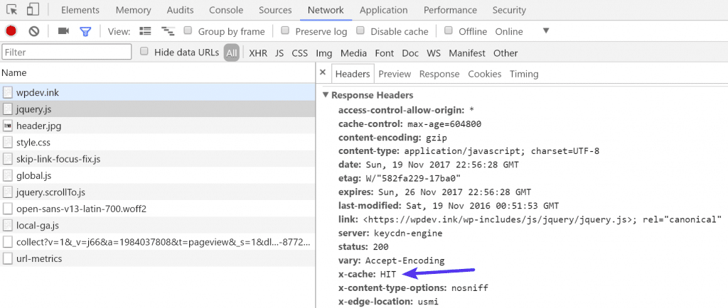 Kinsta CDN cache HIT