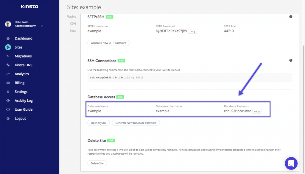 Detalles de acceso a la base de datos Kinsta