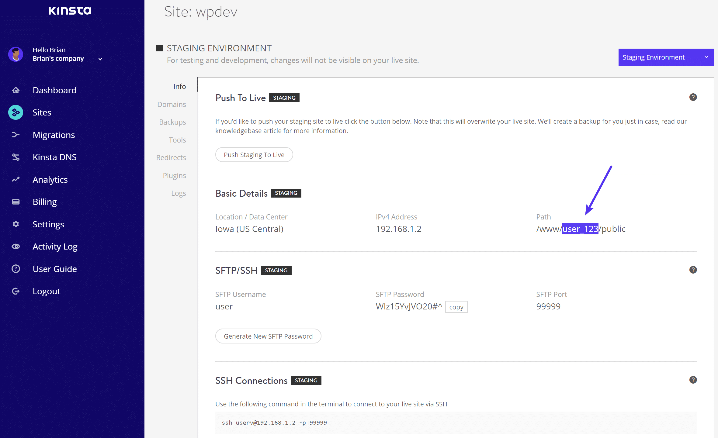 Ruta de desarrollo en el panel de control MyKinsta (staging)