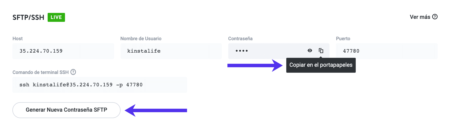 Copia a clipboard y genera una nueva contraseña SFTP.