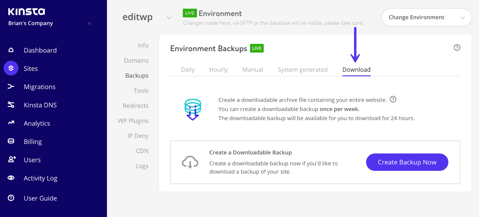 Descargue un backup completo de WordPress