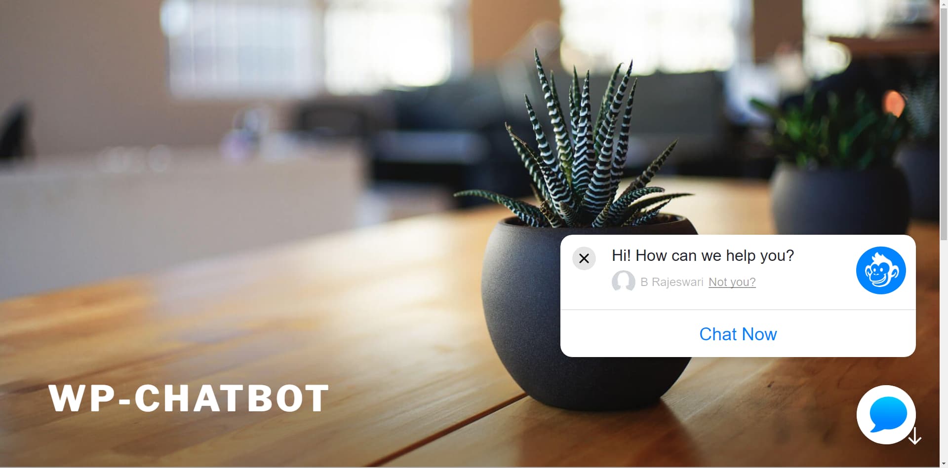 El plugin de WP-Chatbot