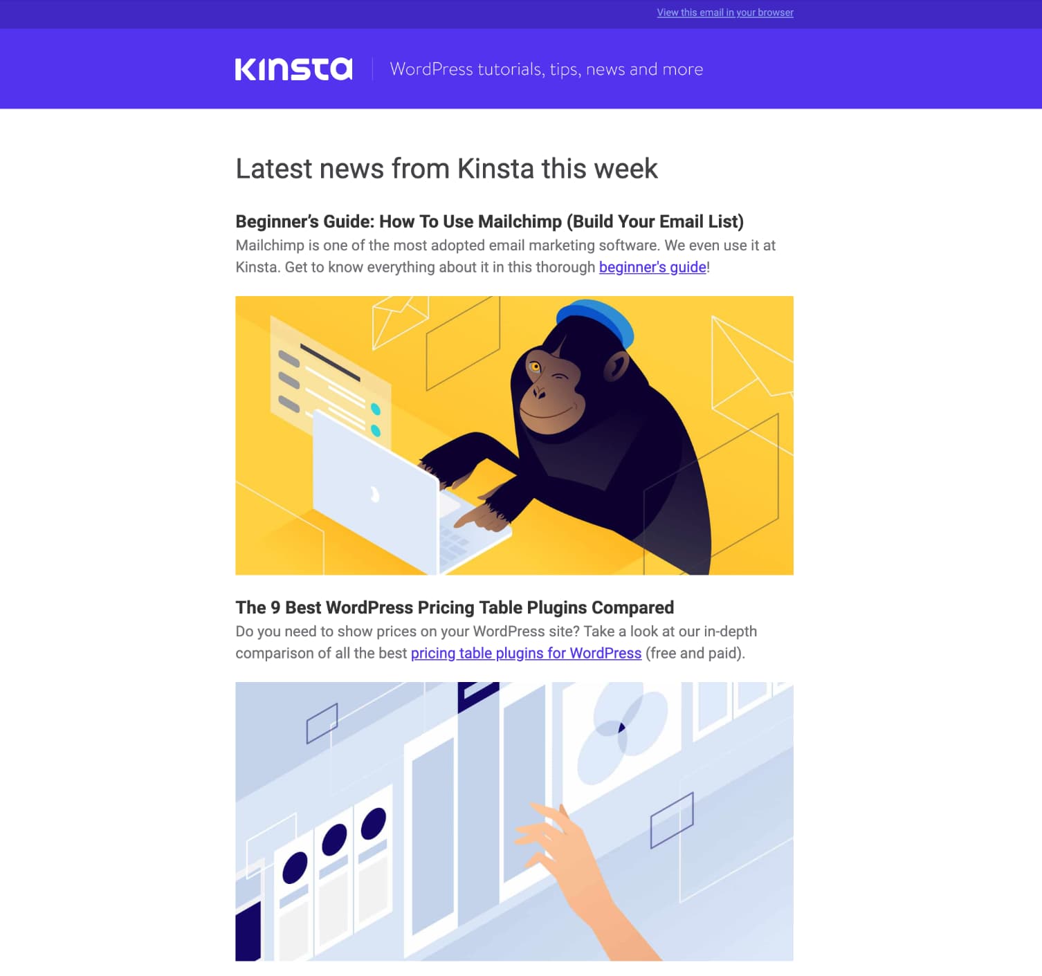 Plantilla de newsletter en Kinsta