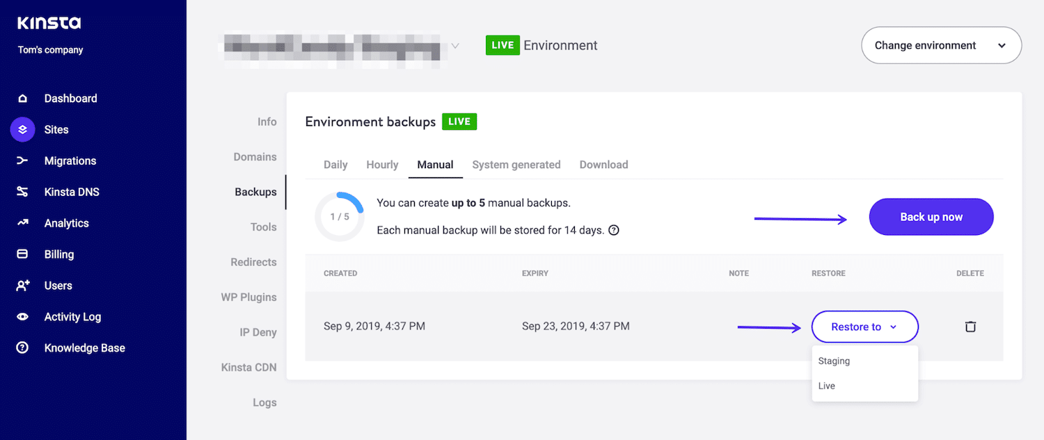 Restaurar una copia de seguridad en MyKinsta