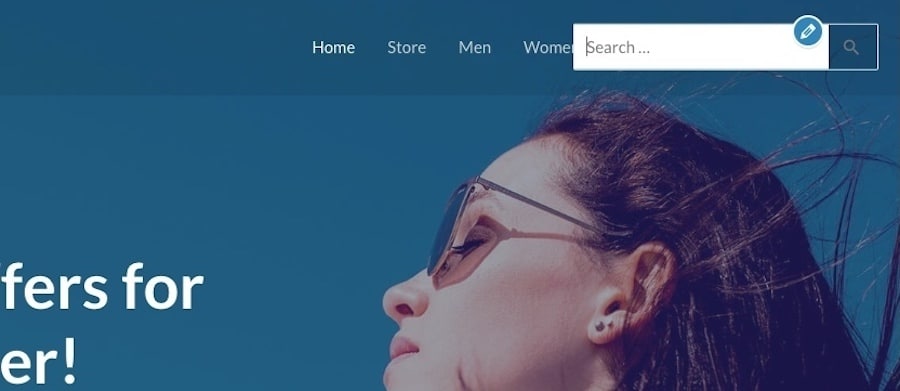 WordPress - barra de búsqueda añadida con la configuración del tema