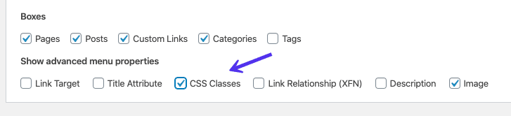 La casilla de verificación Clases CSS en la pestaña Opciones de pantalla