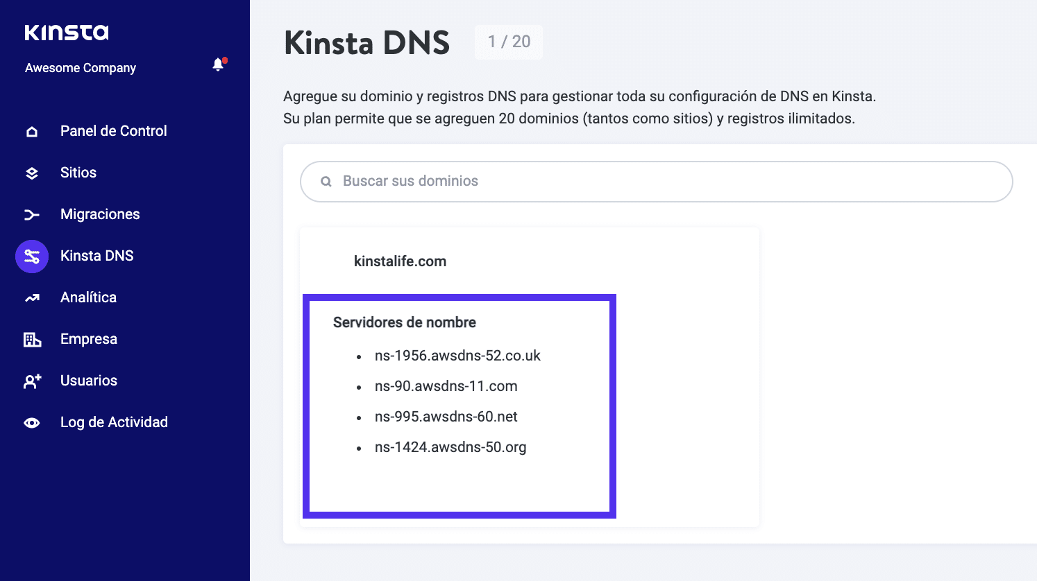Servidores de nombre del DNS de Kinsta.