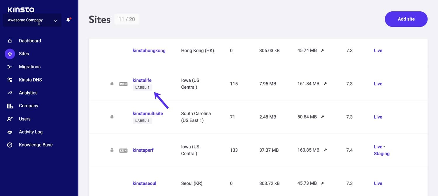Etiquetas de sitios en MyKinsta.