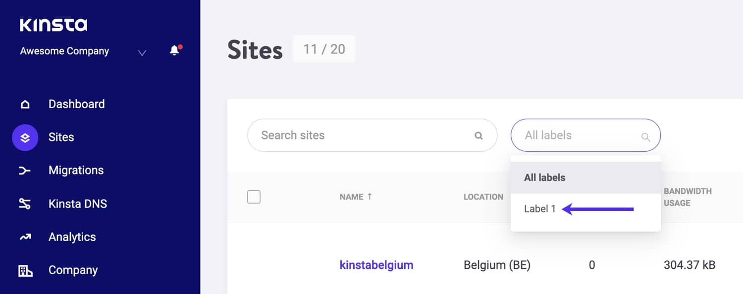 Filtra por la etiqueta del sitio en MyKinsta.